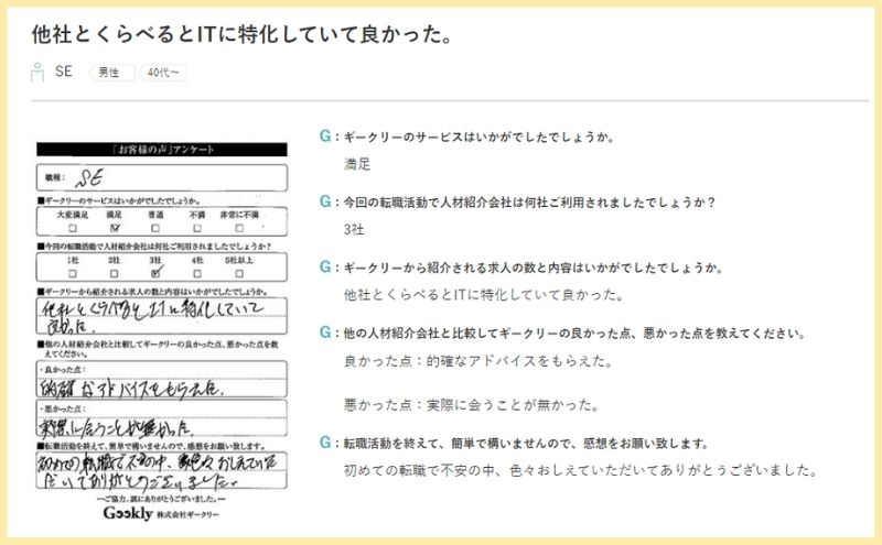 ギークリー:転職者の声
