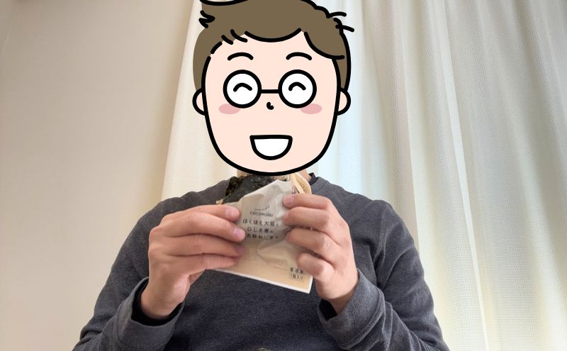 COCOMOGUの利用方法