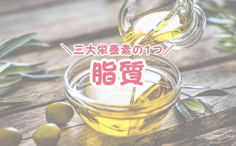 ベースブレッド＞脂質量で比較