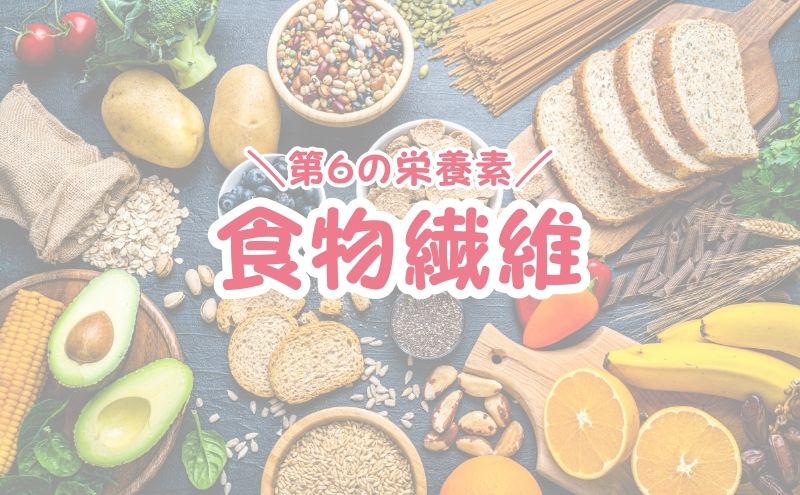 ベースブレッド＞食物繊維量で比較