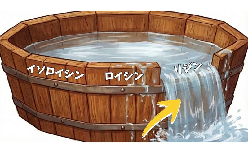 桶の理論:穀物由来ゆえにリジンが不足している