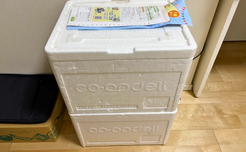 玄関に積まれたコープデリの保冷箱2段とカタログ
