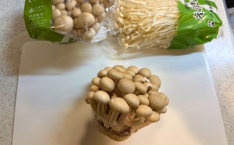 子どもの偏食対策でミキサーにかけるキノコ