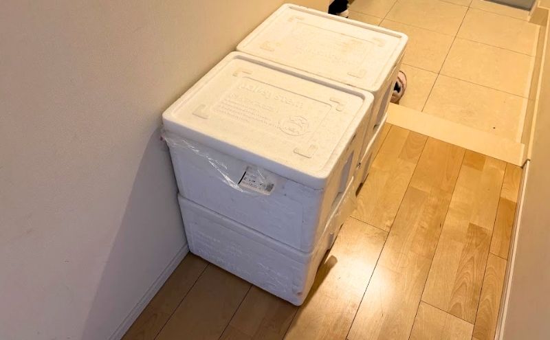 パルシステムの配達:玄関の中に置いた保冷箱